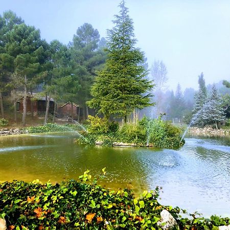 Chalet Esmeralda 3 D Y 2 Banos Zafiro Lagunazo Parque Natural Rio Mundo Riópar Exteriér fotografie