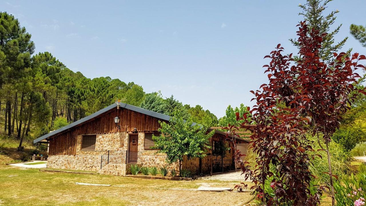Chalet Esmeralda 3 D Y 2 Banos Zafiro Lagunazo Parque Natural Rio Mundo Riópar Exteriér fotografie